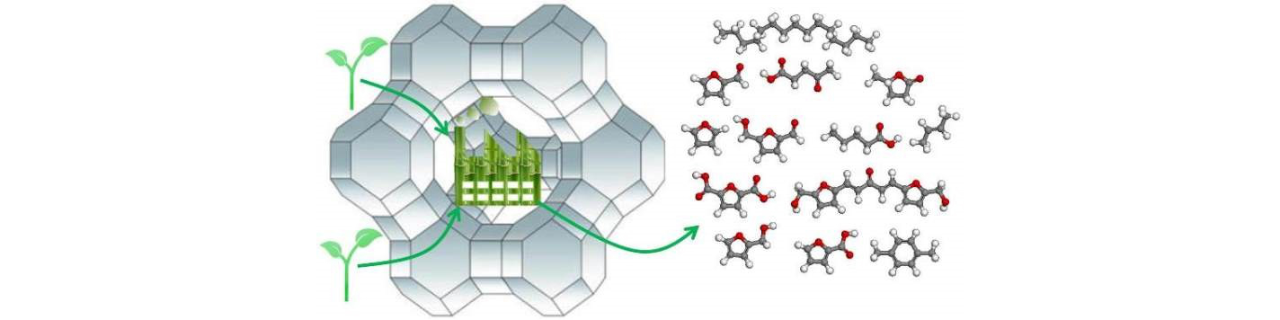 The chemical conversion of biomass-derived saccharides: an overview