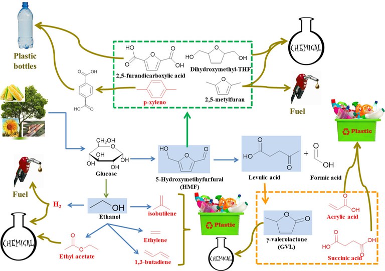 Biomass conversion