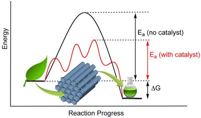 Catalysis